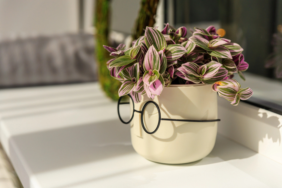 Квартира 9 мин до Парка на 4х гостей