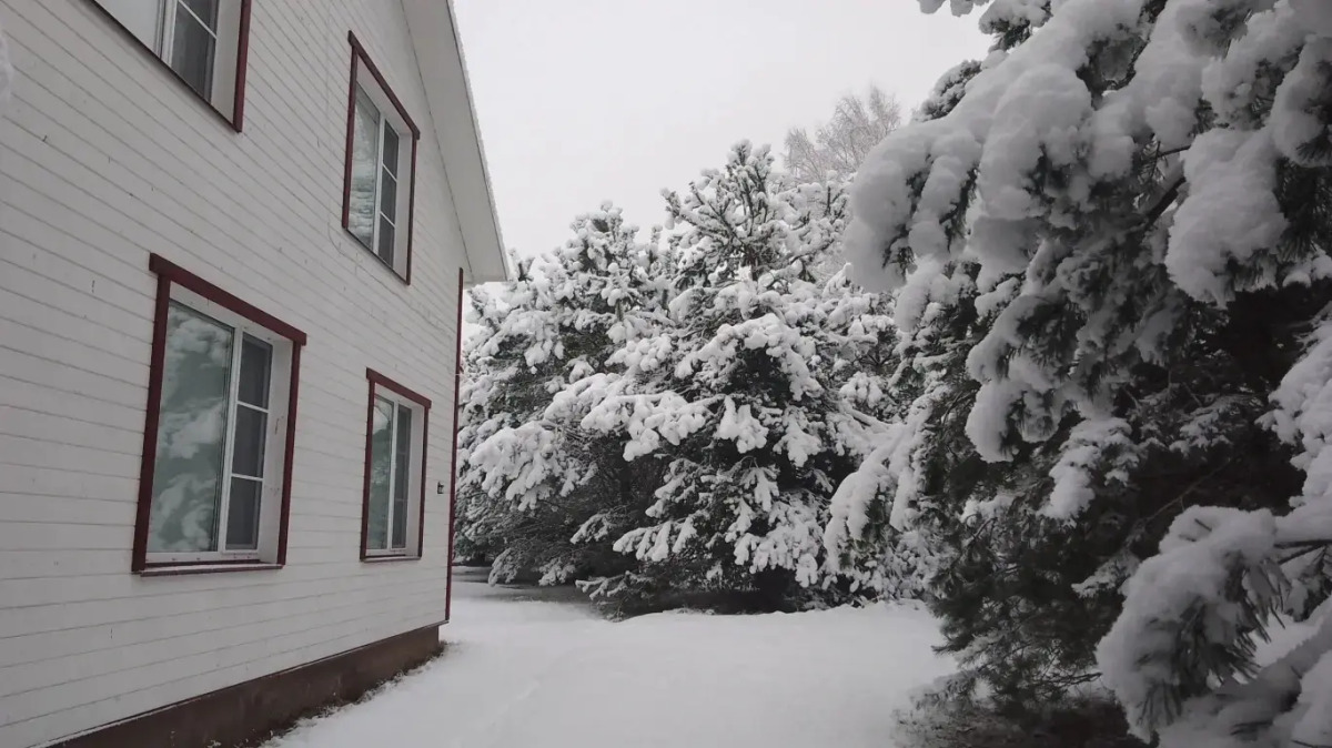 Частный дом Хитрый Лис 1