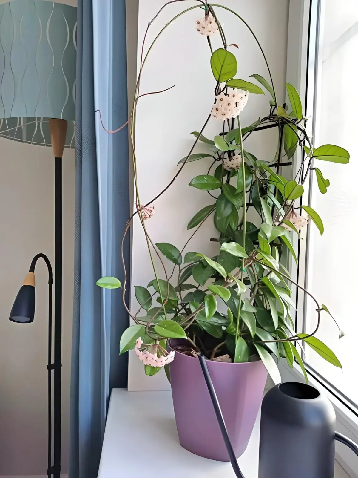 Квартира dombomb