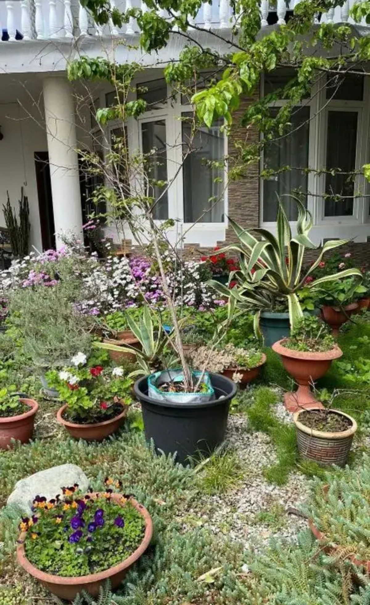 Гостевой дом Белые паруса