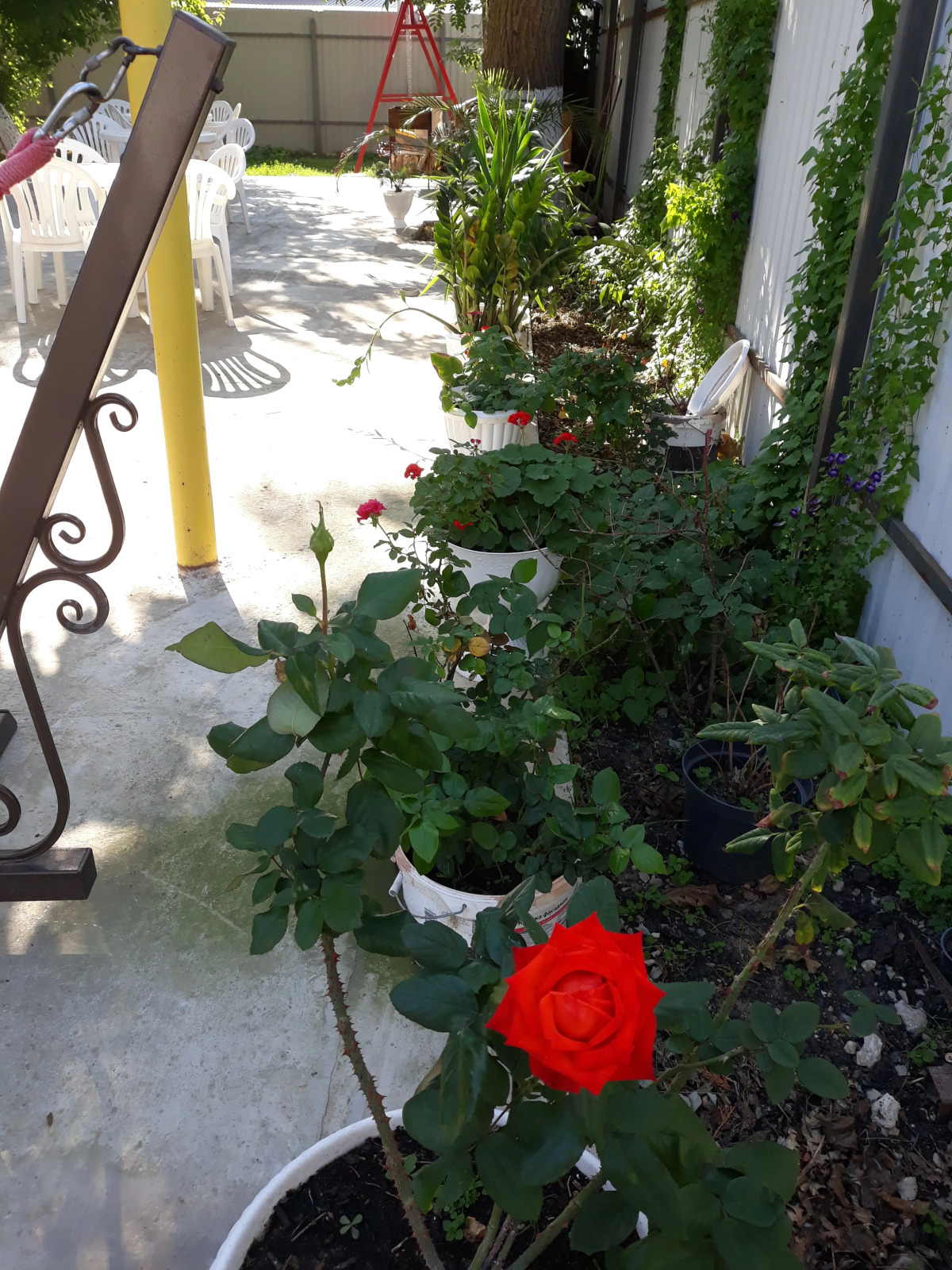 Гостевой Дом Центральный