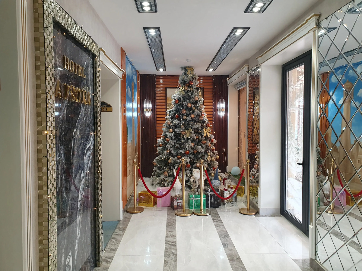 Отель Hotel Afsona