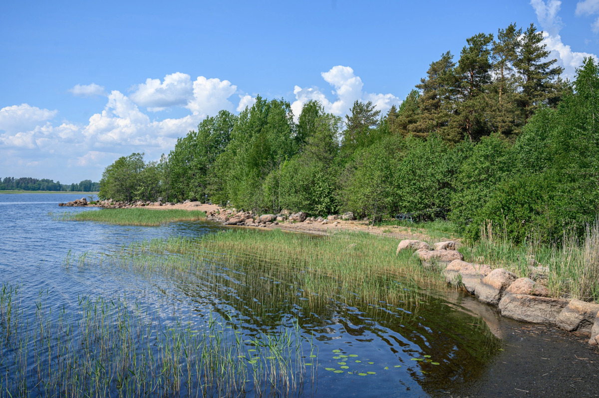 База Отдыха Фрегат