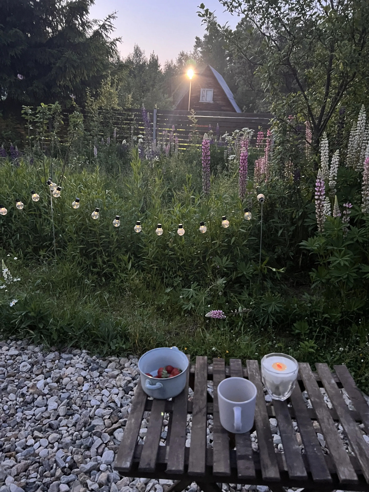 Гостевой дом Cozy Villa