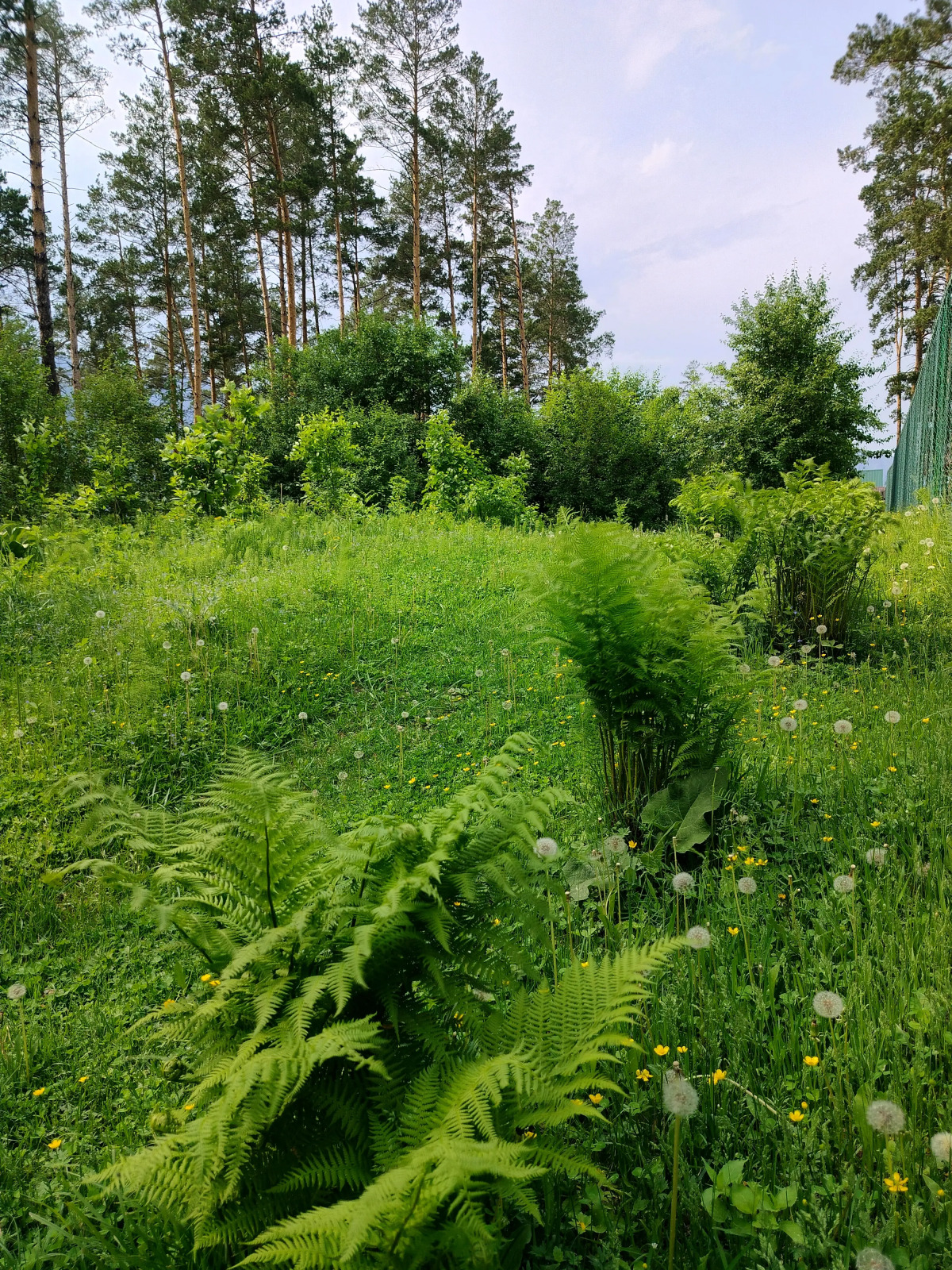 Гостевой Дом PANORAMA ALTAI