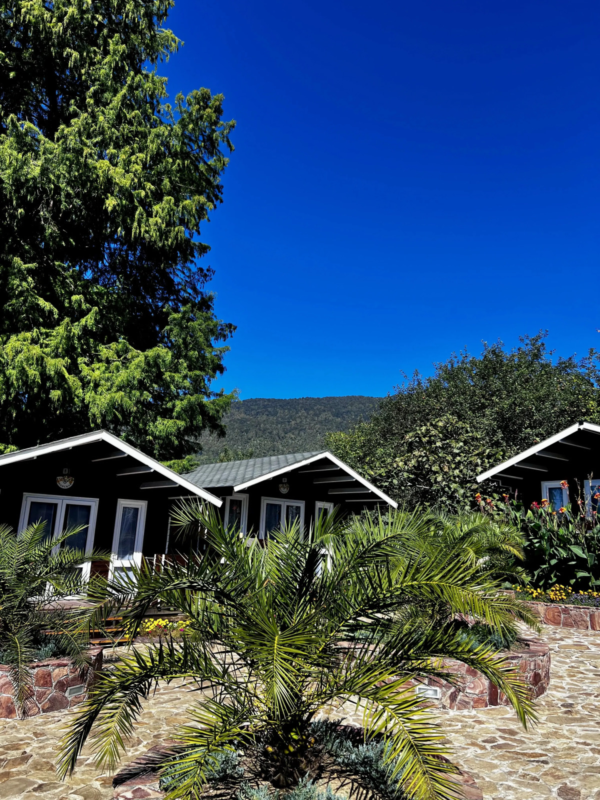 База отдыха Флора