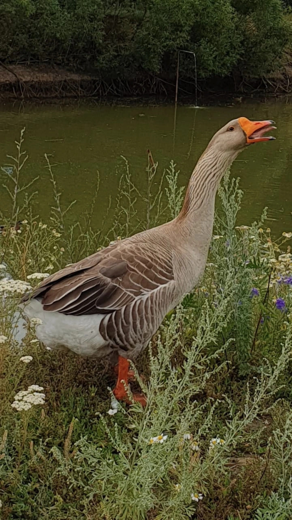 Бутик-отель Эко-Поместье Озера