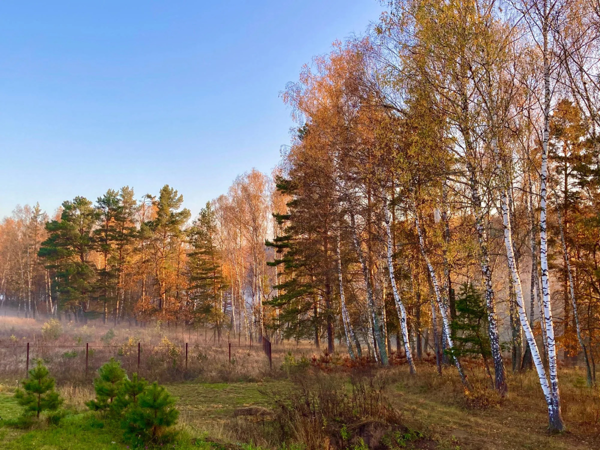 База отдыха Экопарк Бобровый Мыс