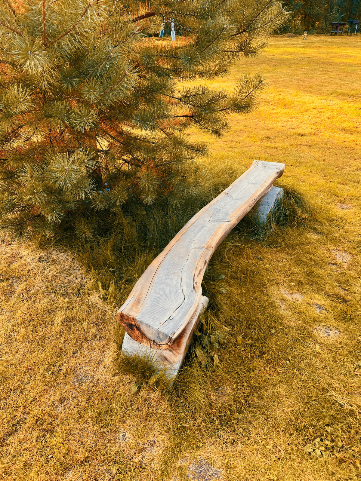 База отдыха Лава