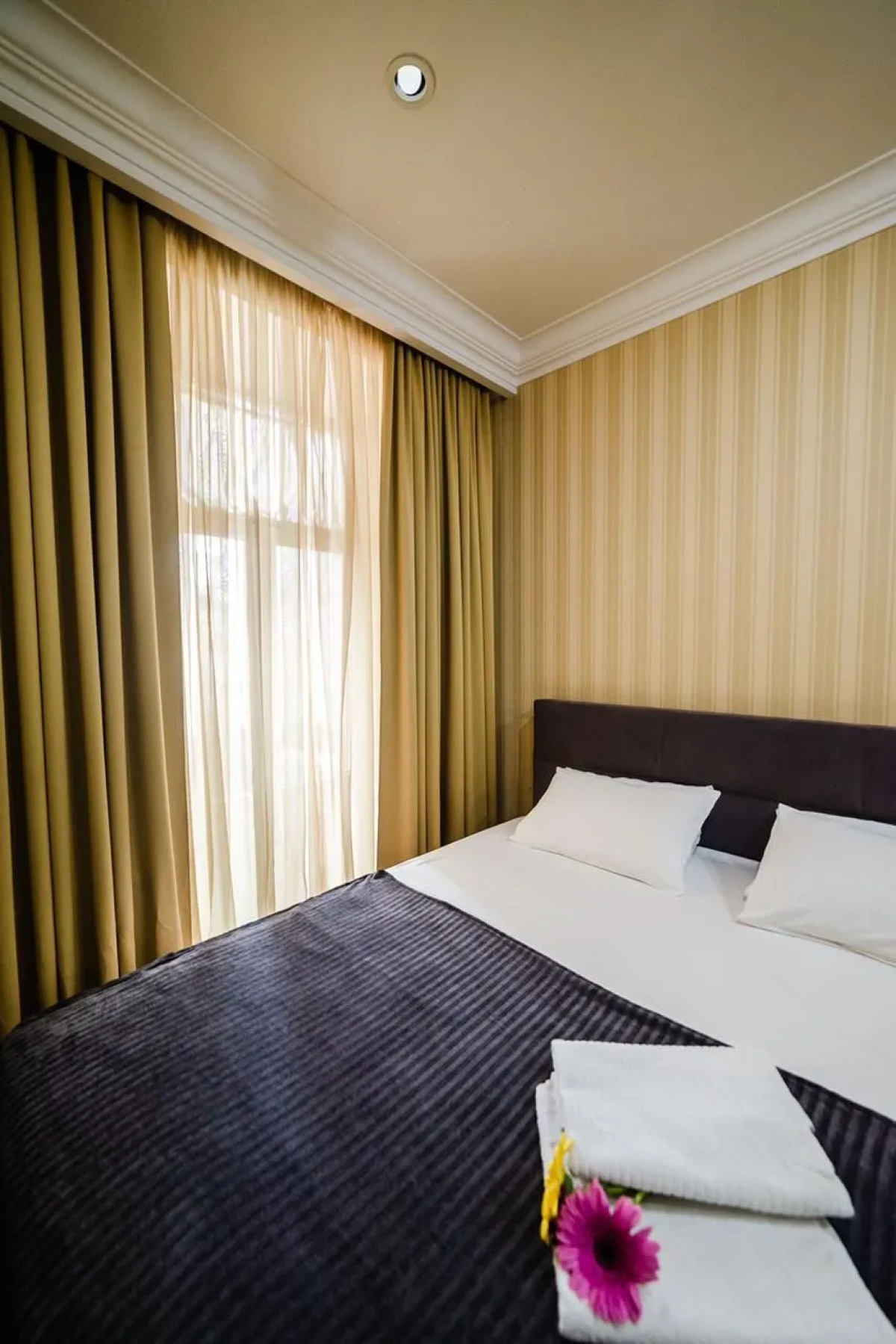 Апартаменты Козицкий переулок 1А (02)