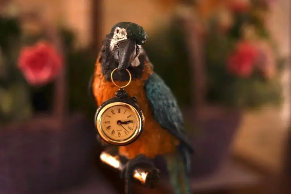 Гостевой дом Лаванда Хаус