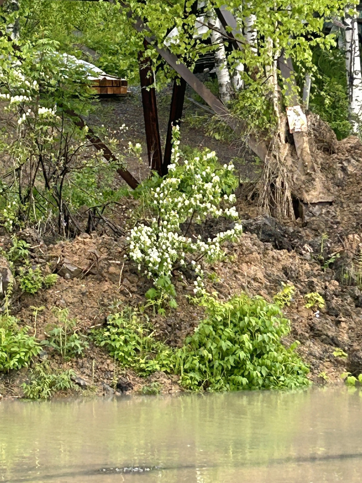 Гостевой Дом Брусника № 1