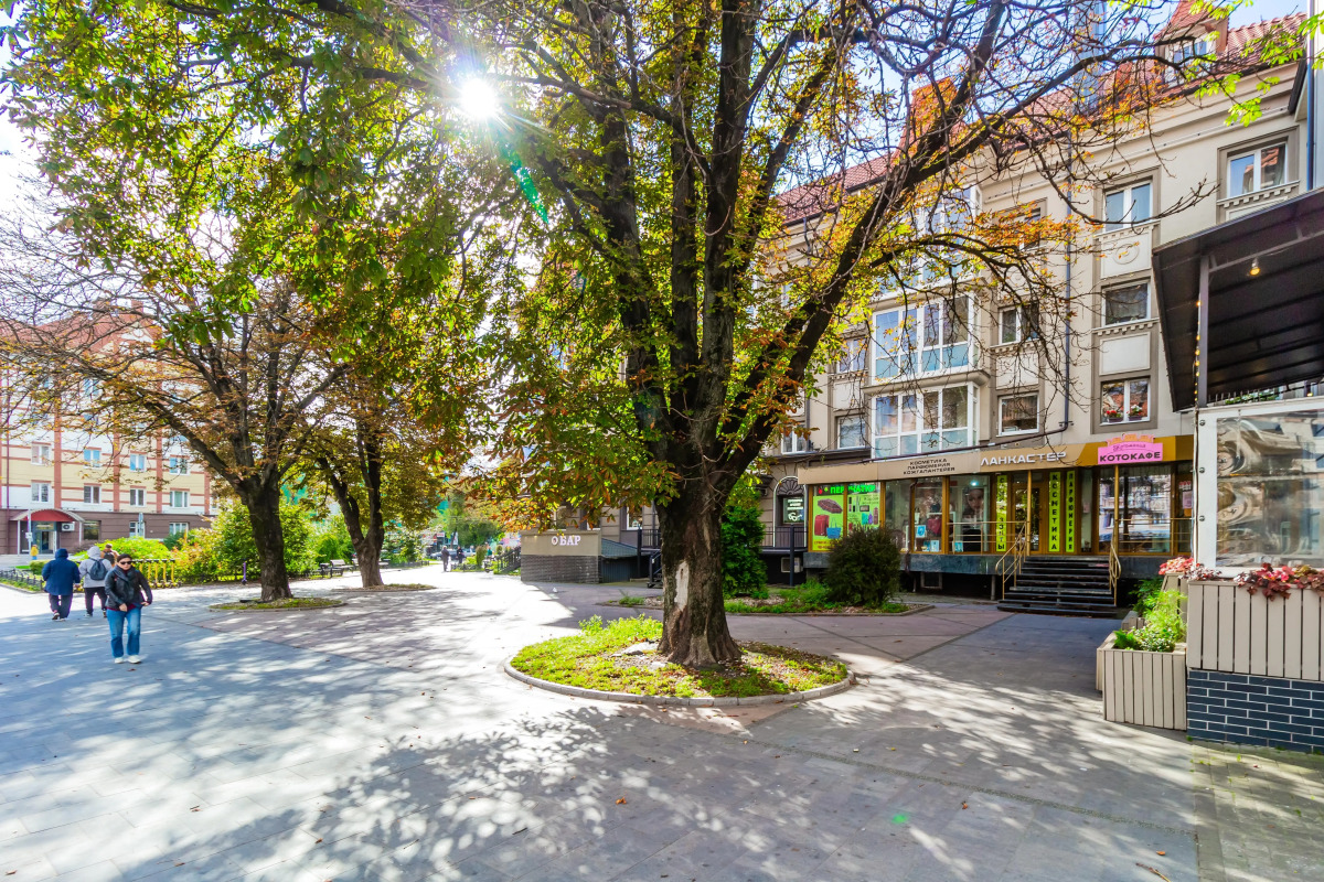 Апартаменты улучшенные в центре Гринн Сад