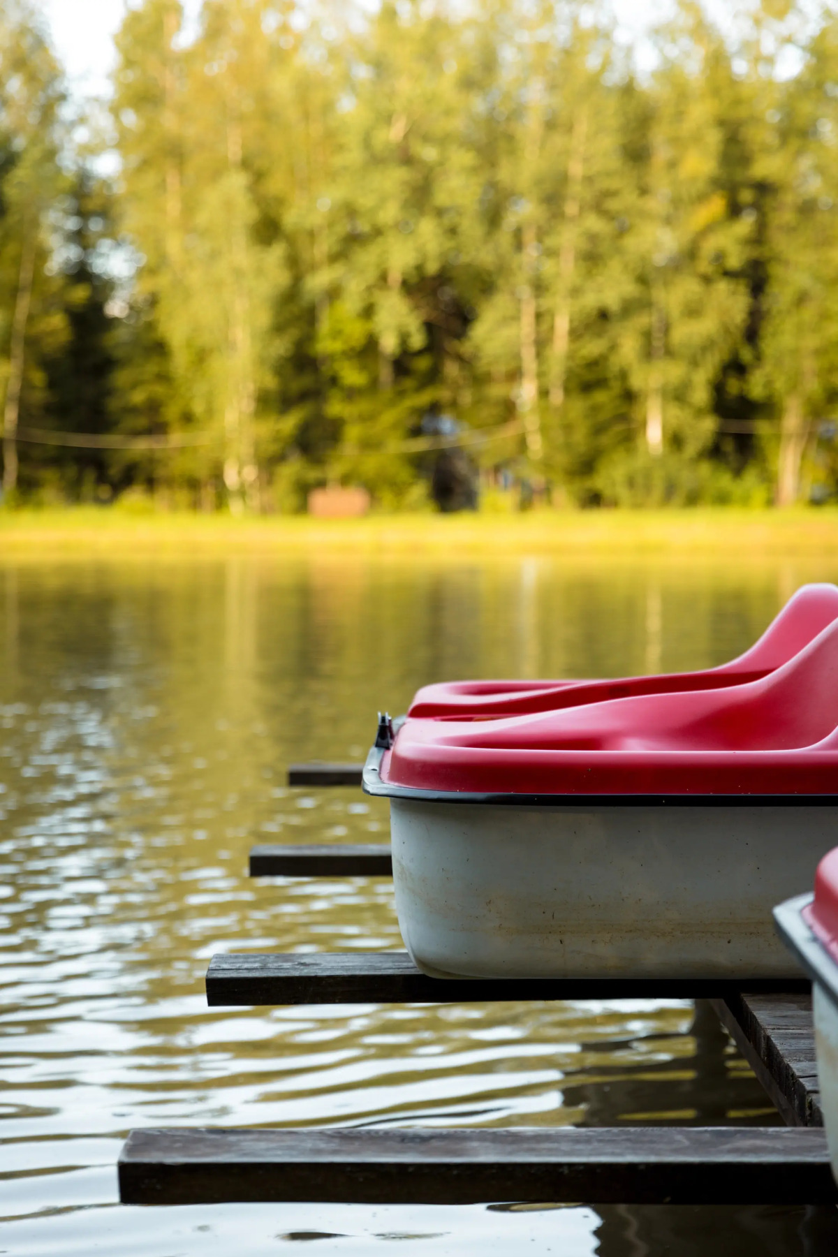 Загородный отель New Riga Village