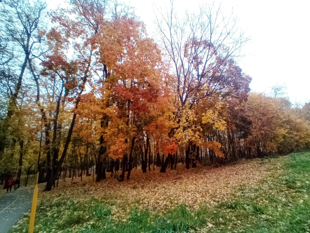 Апартаменты MyHomeUfa Lux на Шафиева