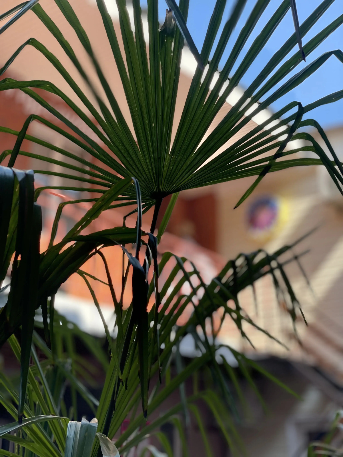 Гостевой дом Тургенева 97