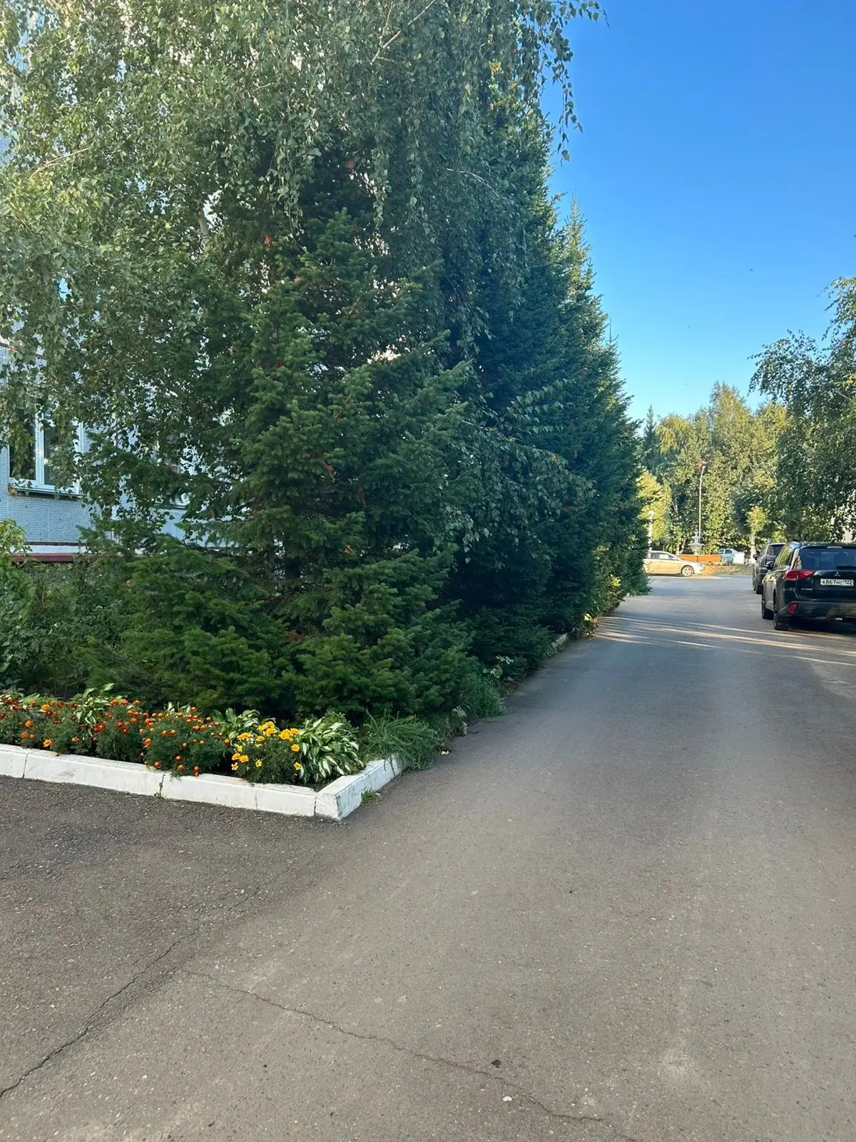 Квартира Уютная в курортной зоне города Белокуриха