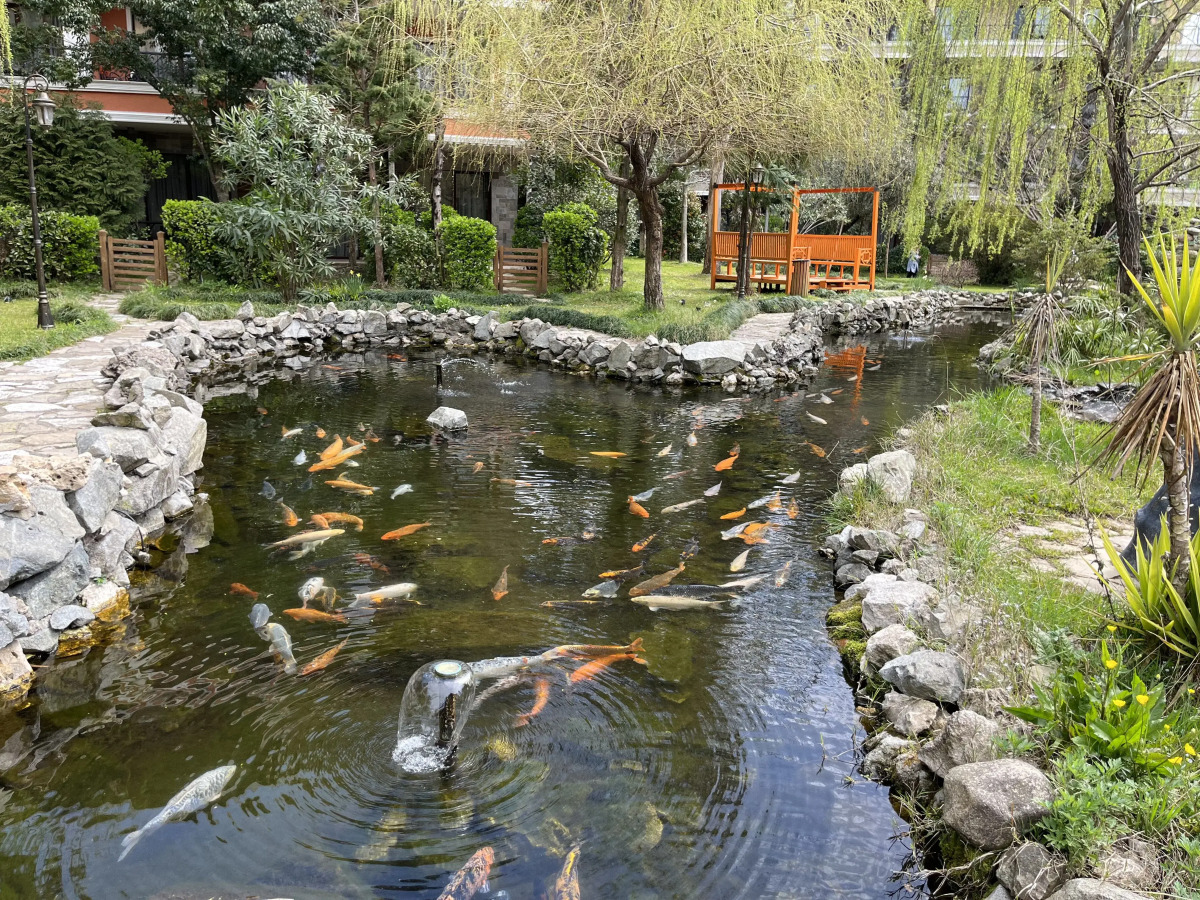 Апартаменты от собственника в Dreamland Oasis Chakvi