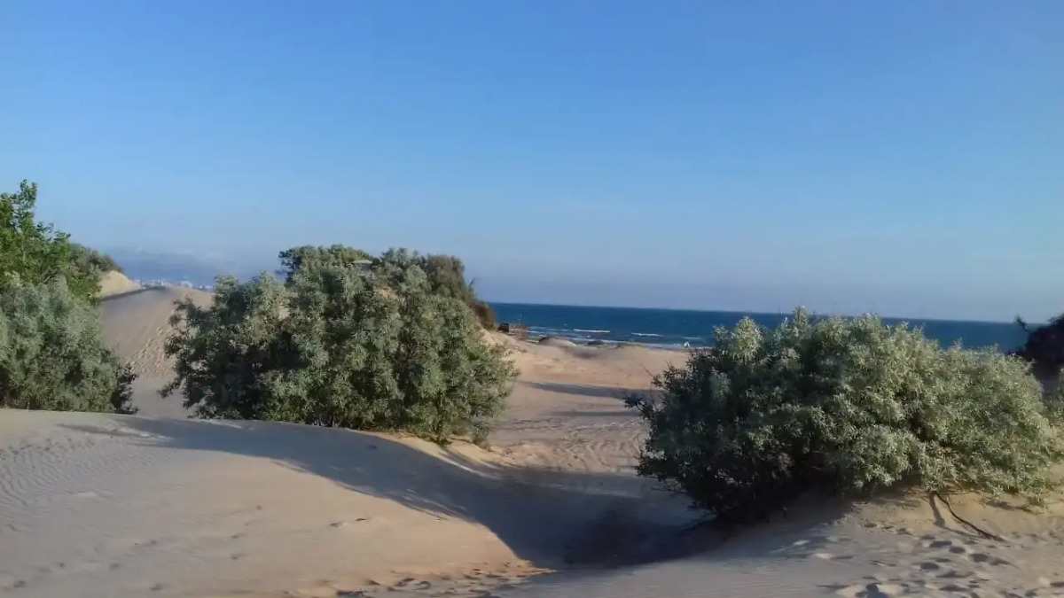 Апартаменты Студия ЖК Кавказ