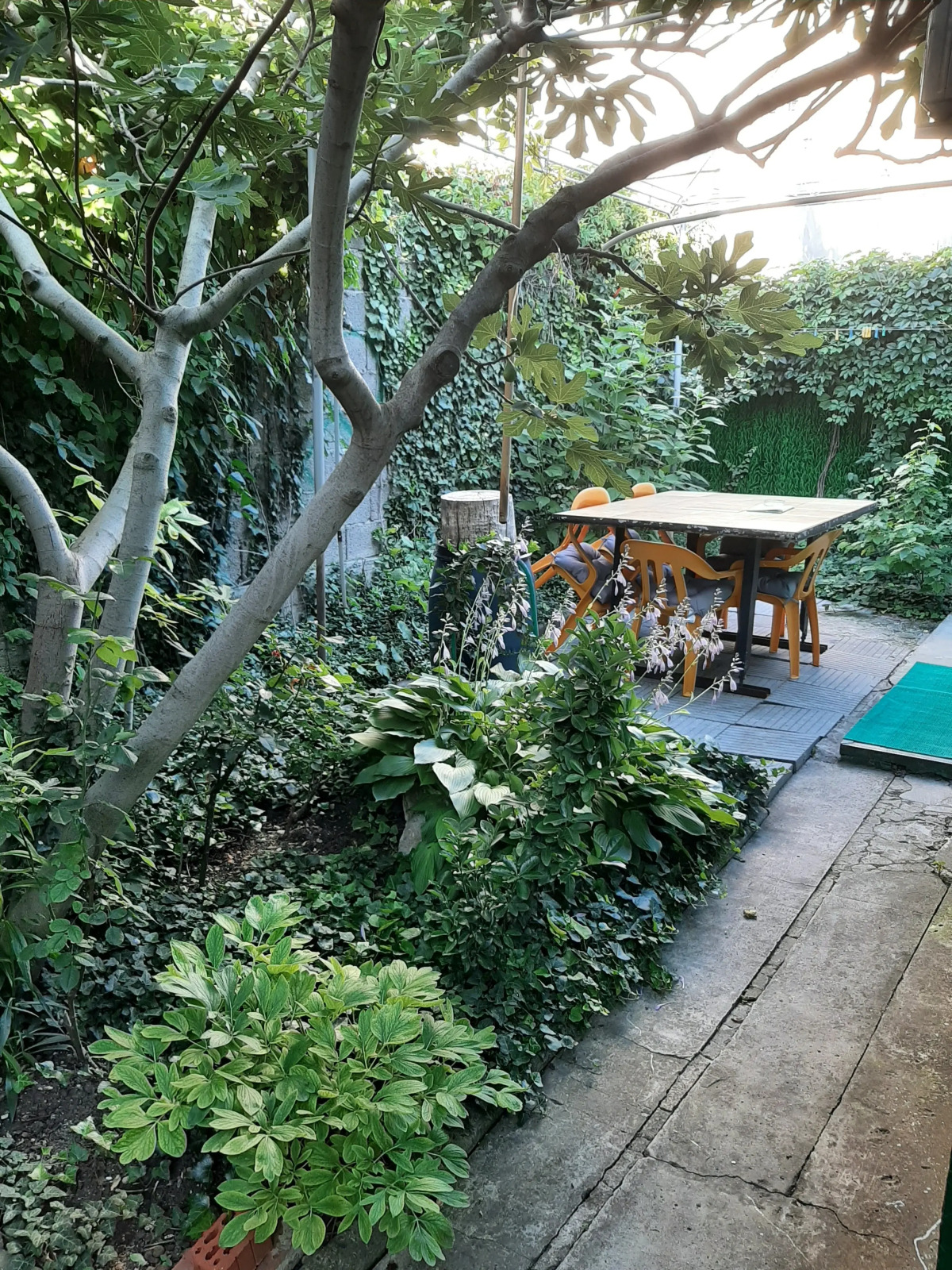 Гостевой дом Тенистый дворик