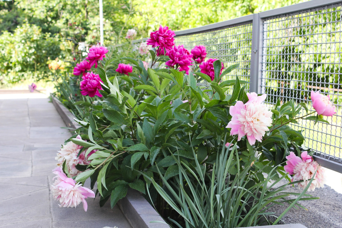 Гостевой Дом Lusya B&B