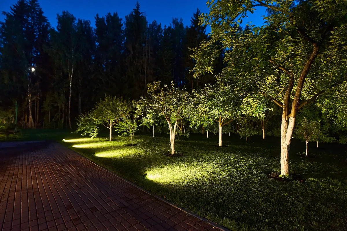 Апартаменты в 20 км от Минска