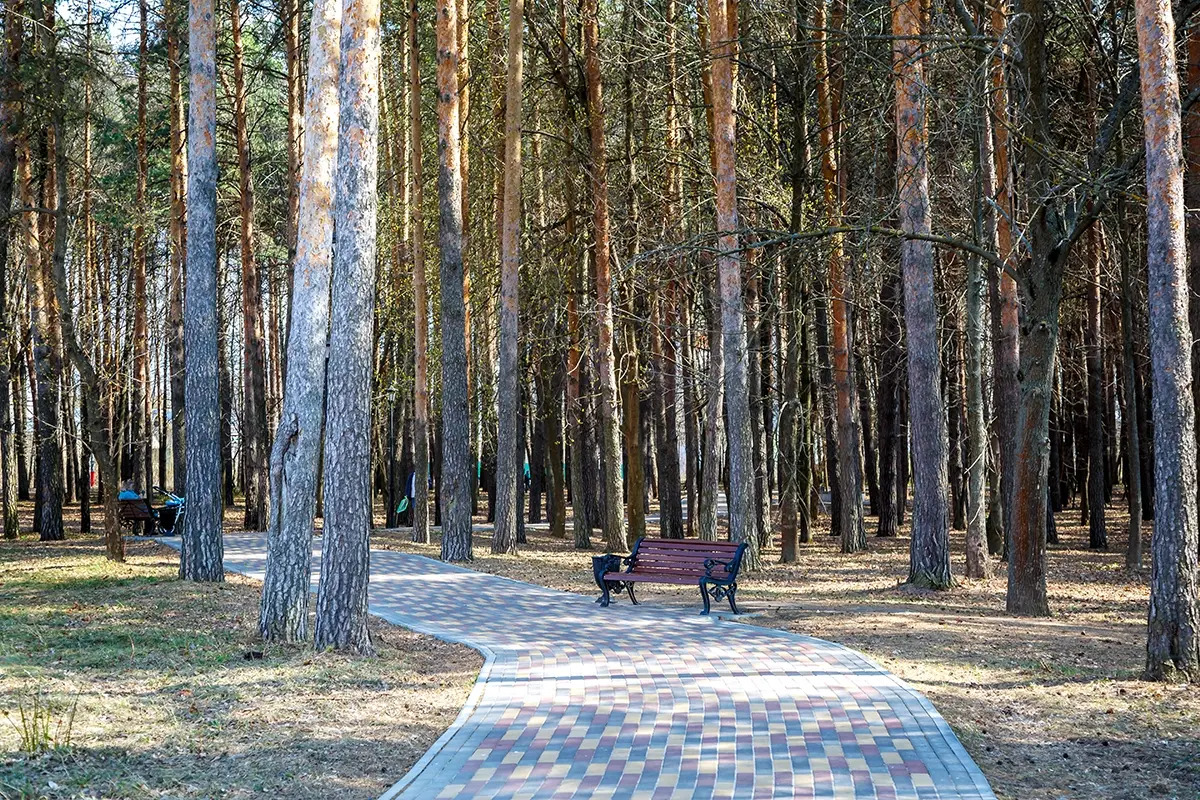 Квартира Лесная поляна