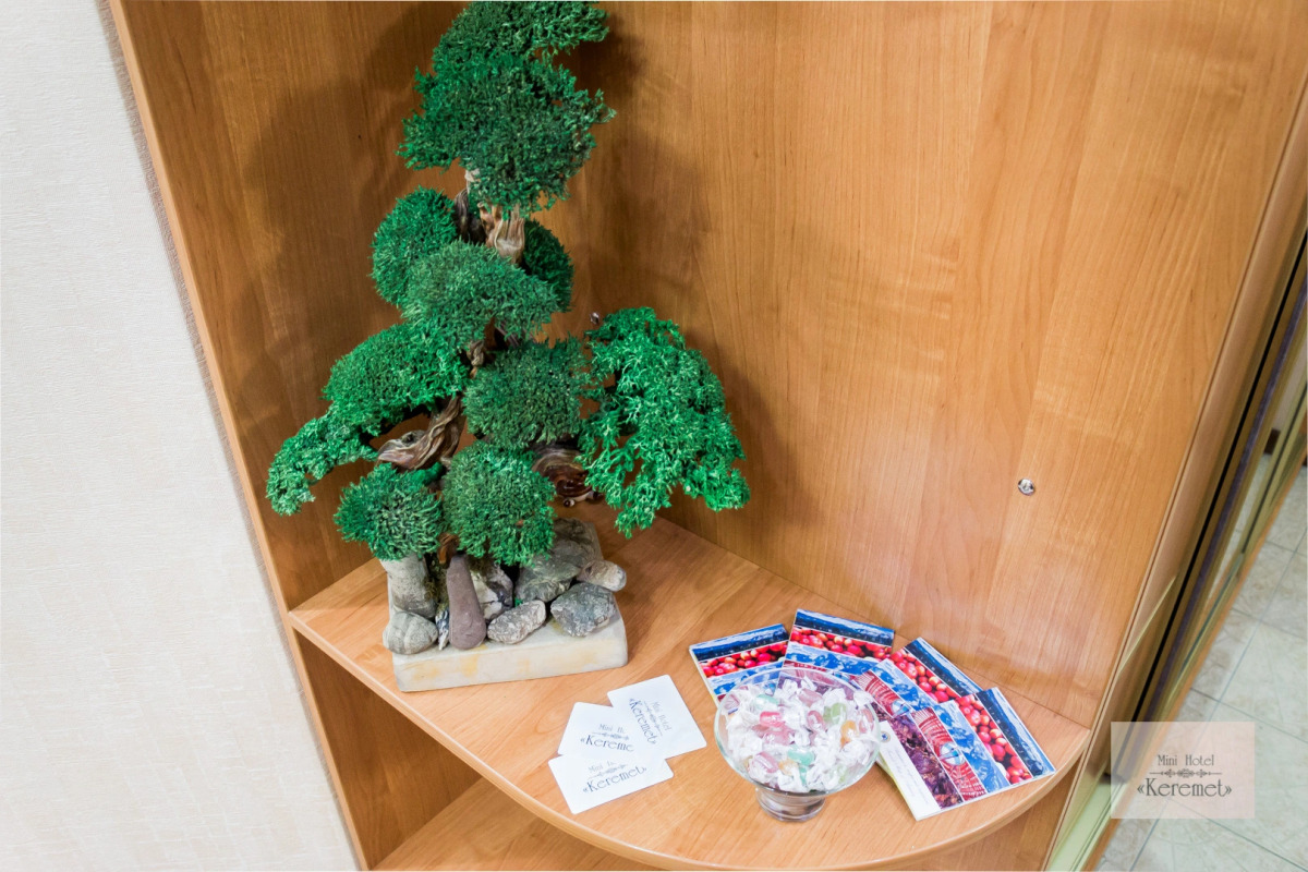 Апарт-Отель 5