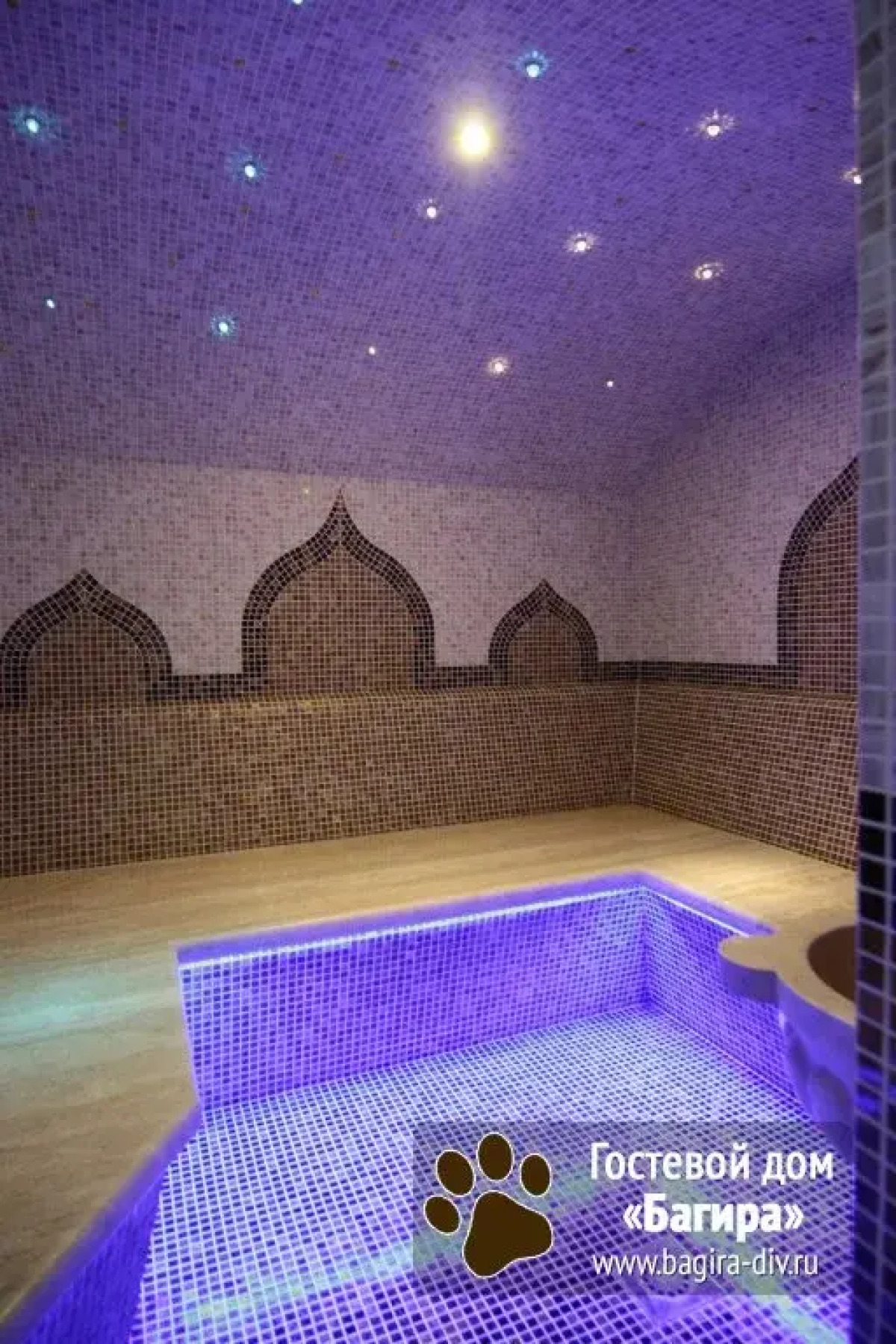 Отель Багира