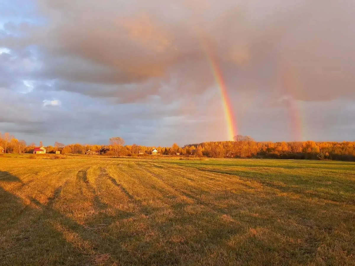 Гостевой дом в деревне Чернокуново