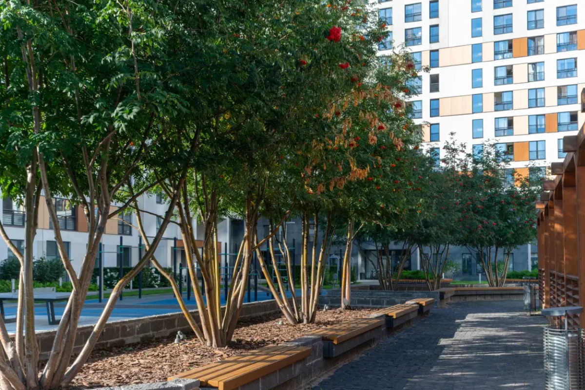 Апартаменты Novin House Kalahari