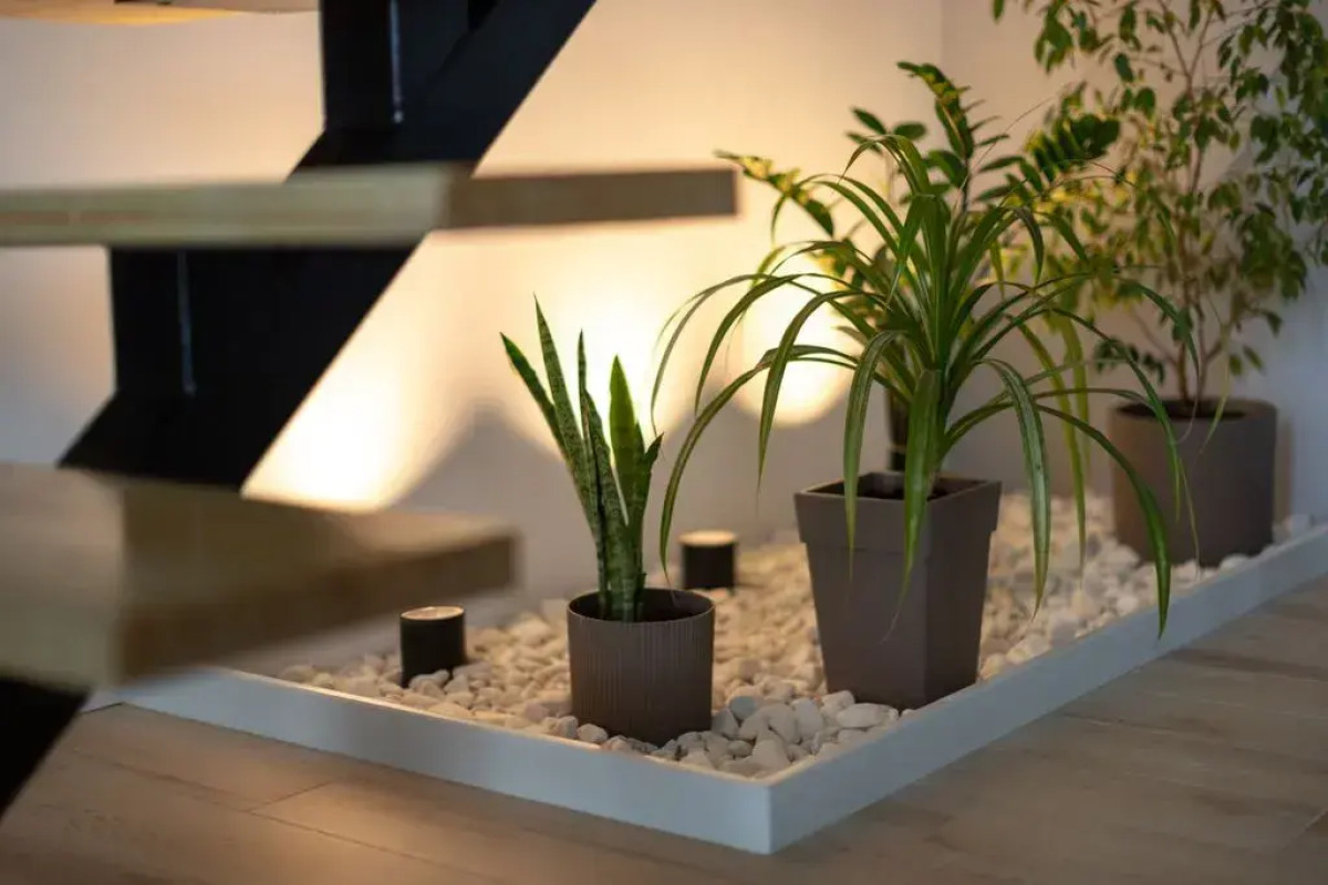 Апартаменты Эксклюзивные двухуровневые в центре города