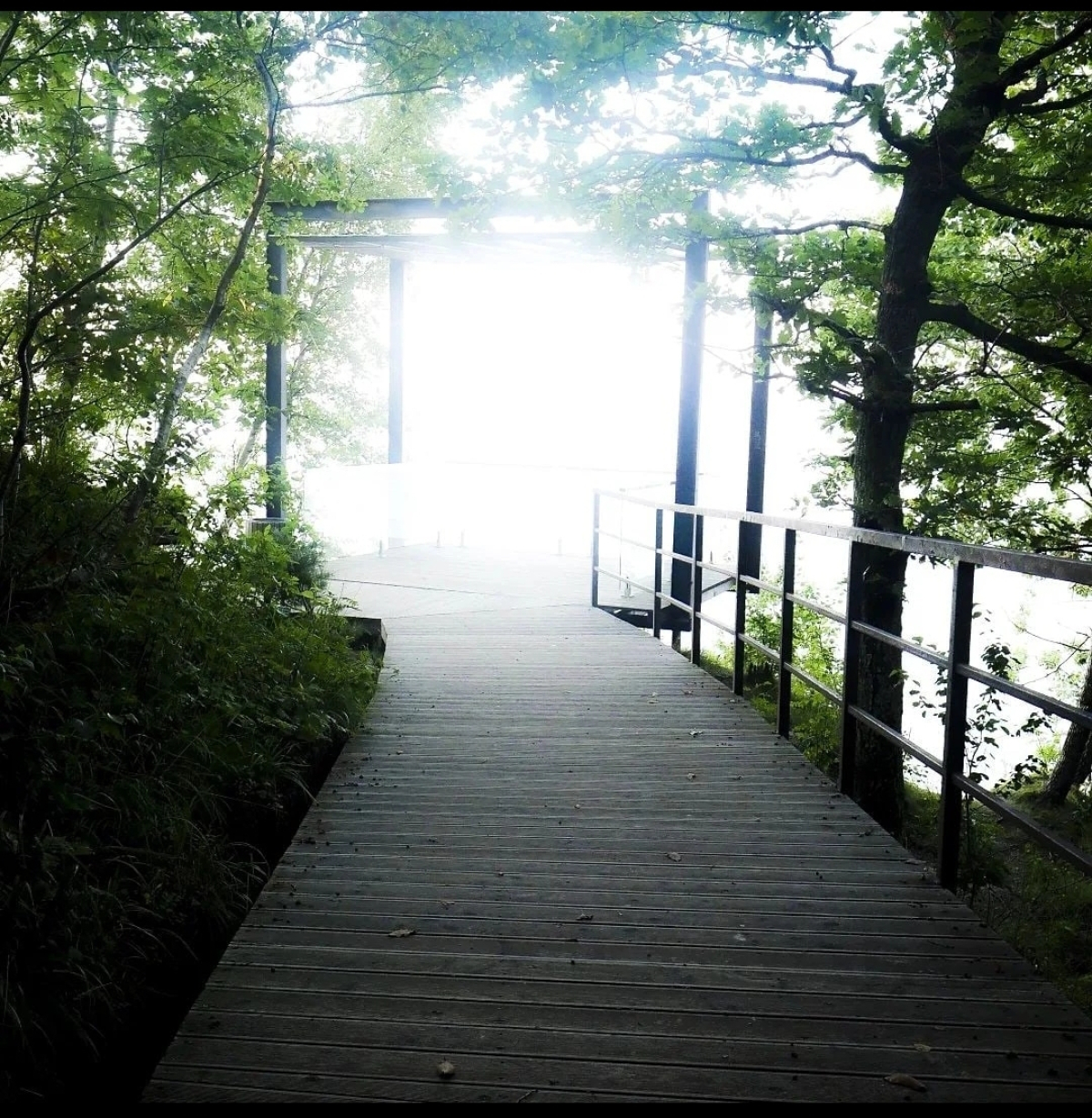 Квартира У Вадима