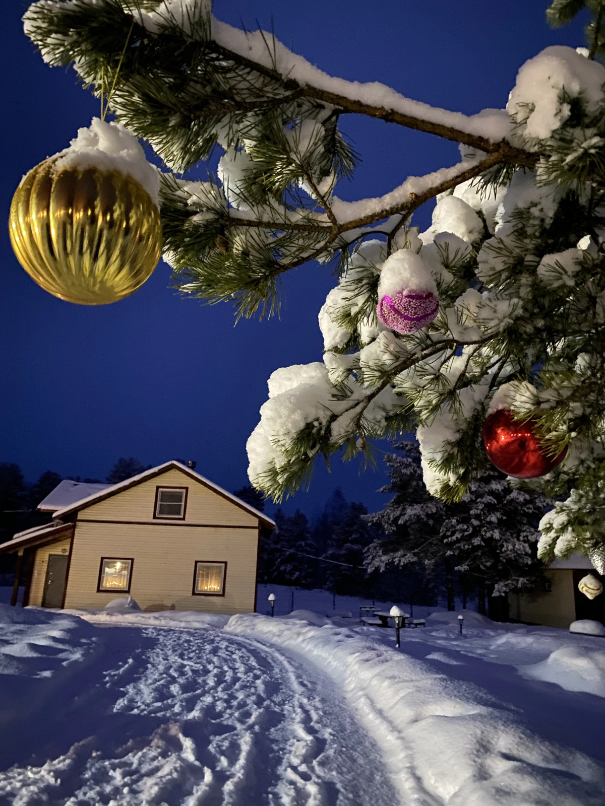 База отдыха Эко Хутор Рай Сяля