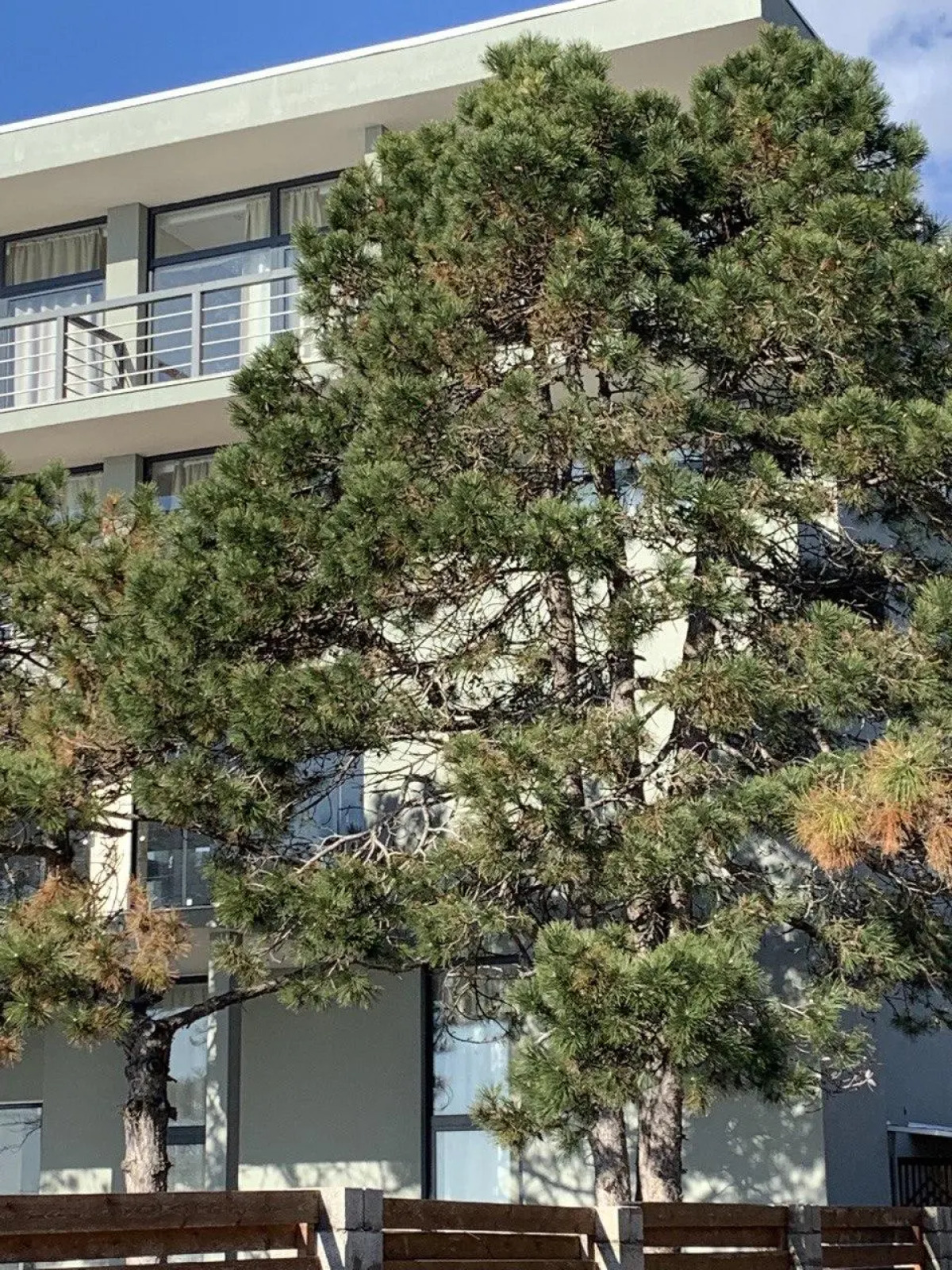 Бутик-Отель Базальт Club