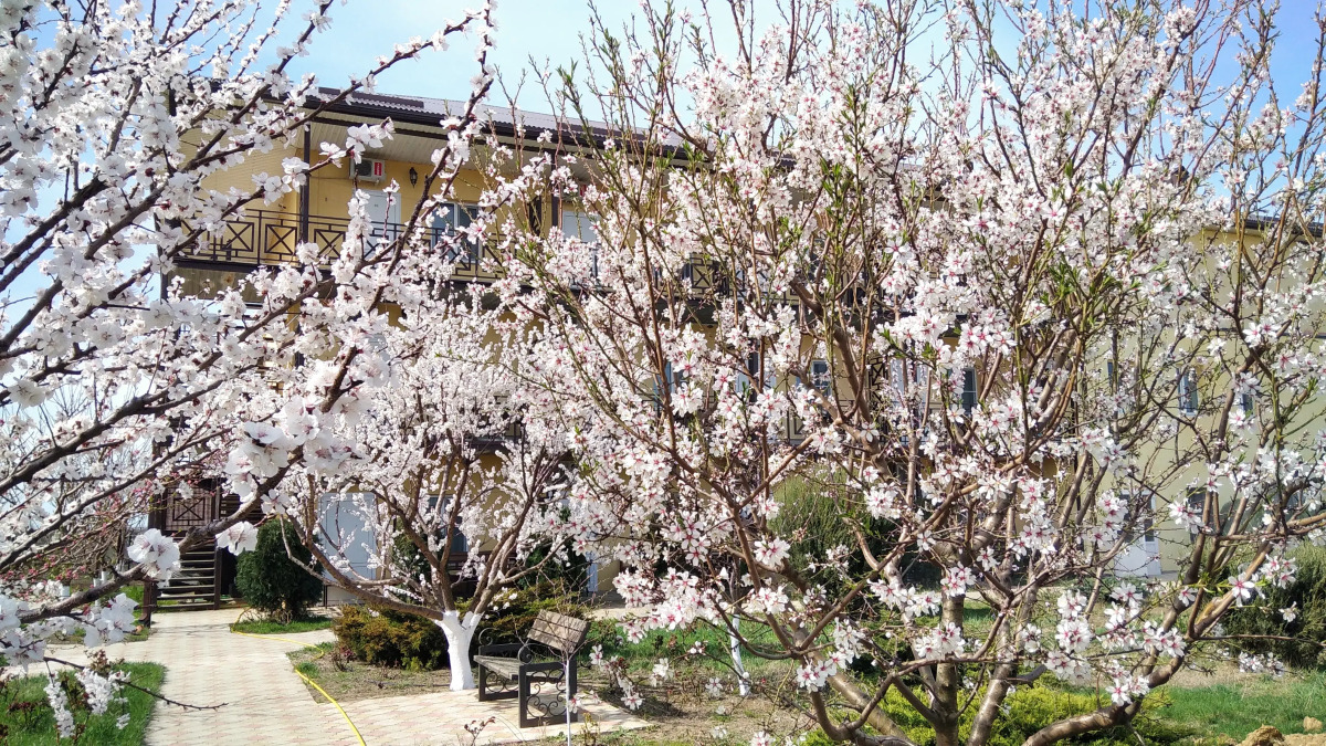 Мини-Отель Добрый Бобр