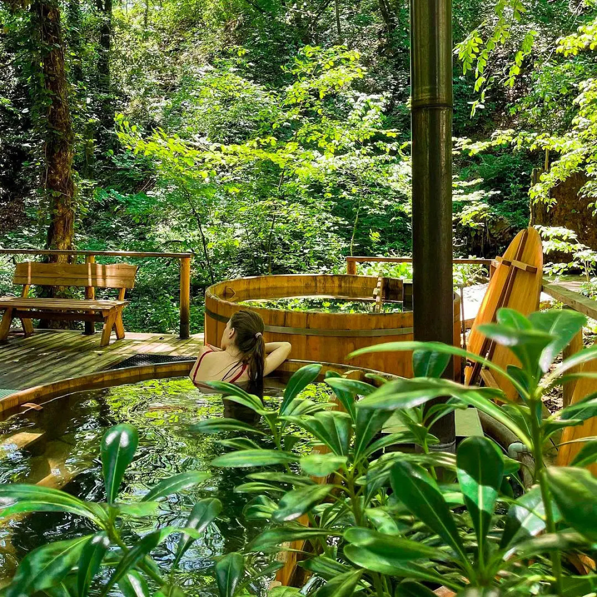 ЛЕС Глэмпинг и SPA