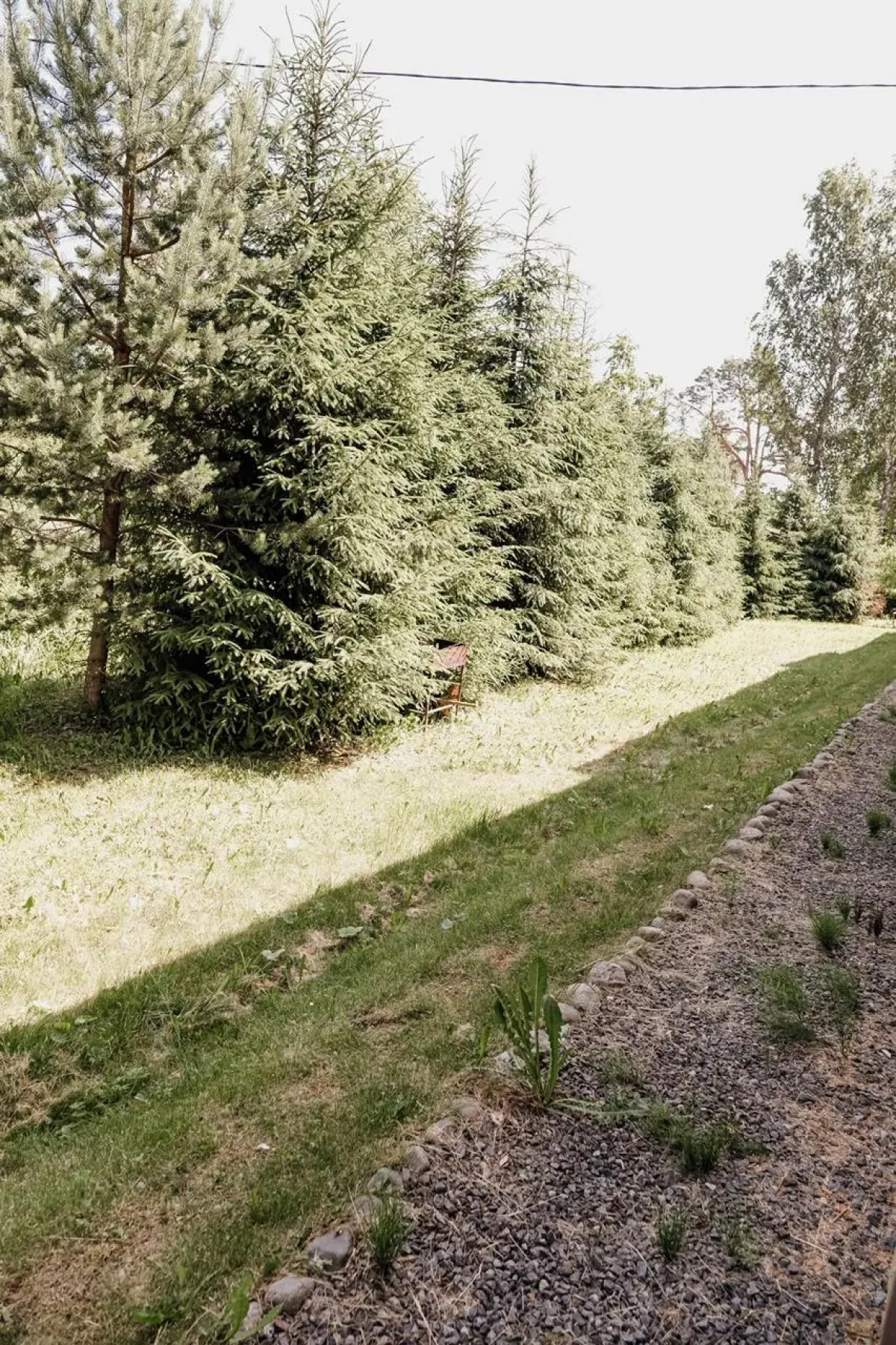 Квартира Апартаменты