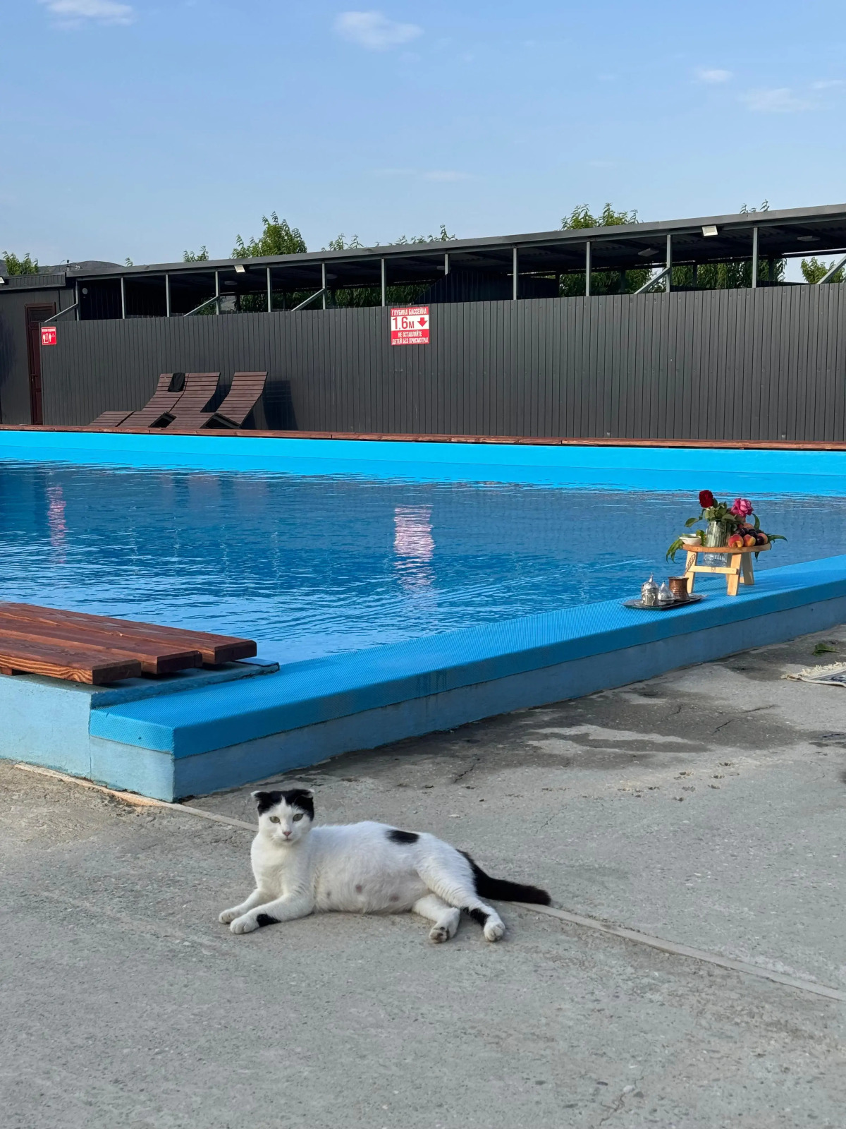 Персиковый Остров