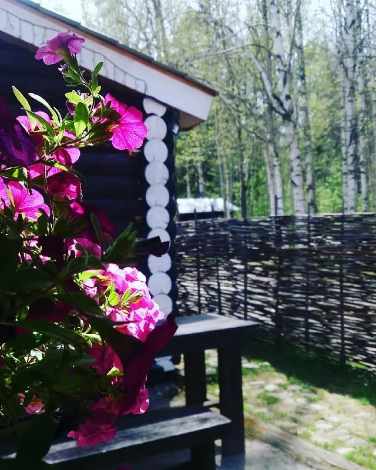 Отель Австерия