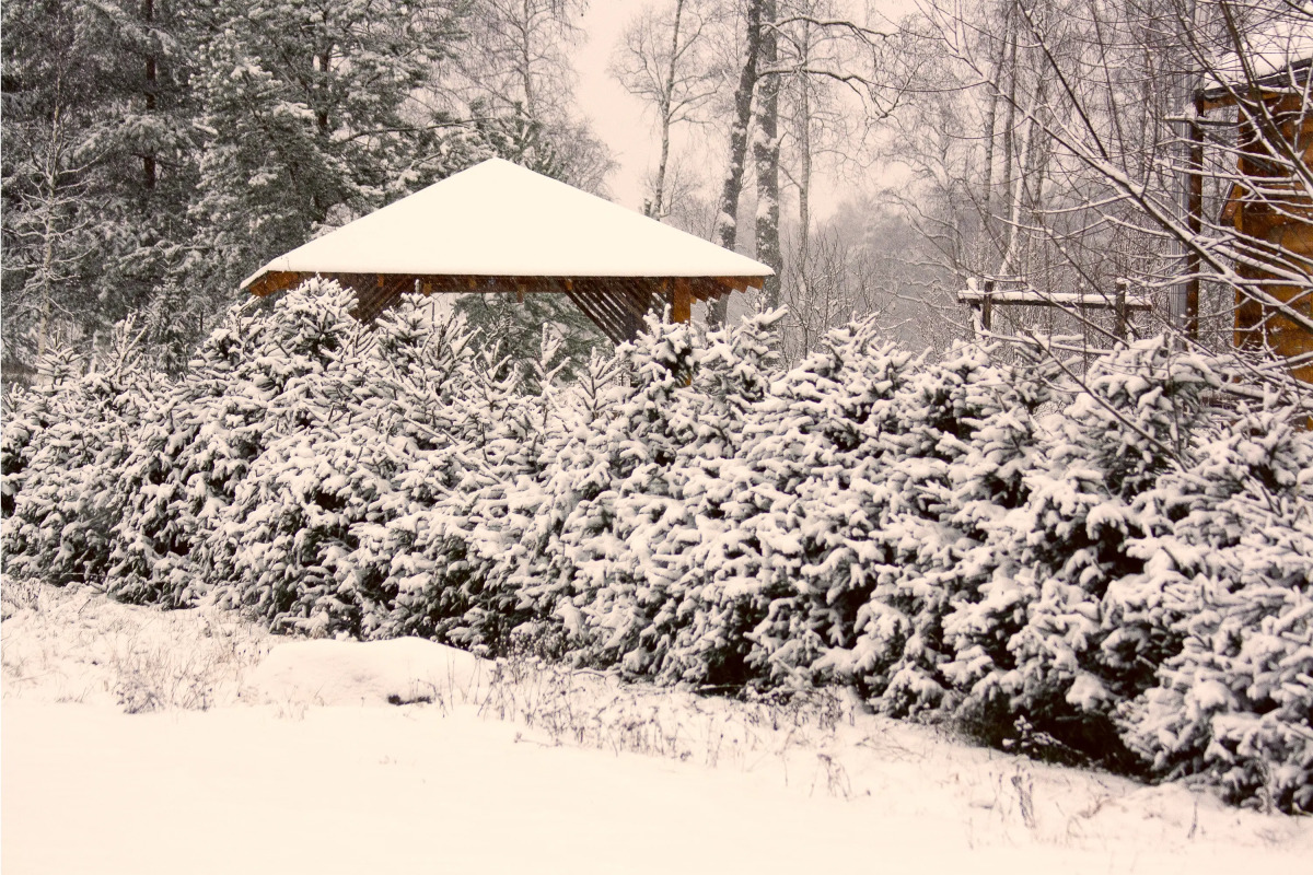 Коттеджный Комплекс Озерный Берег