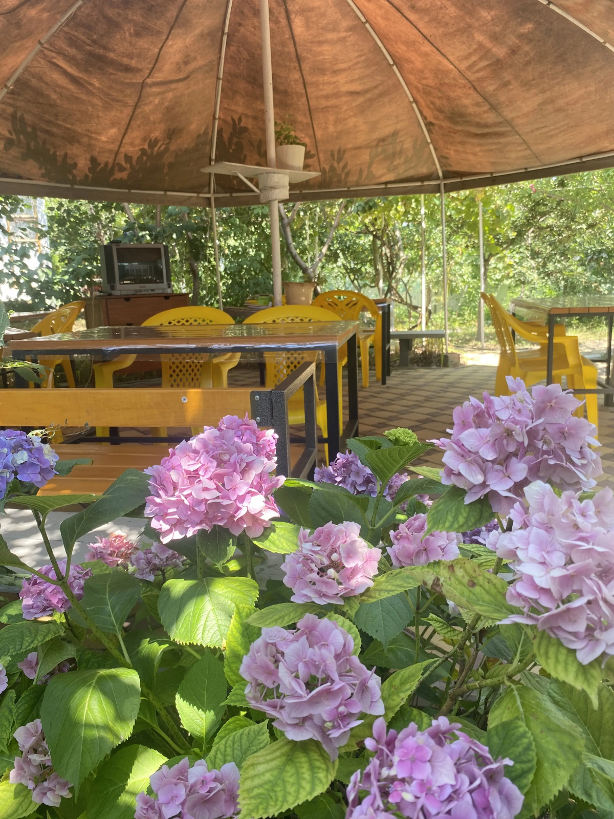 Гостевой Дом Лето Всем