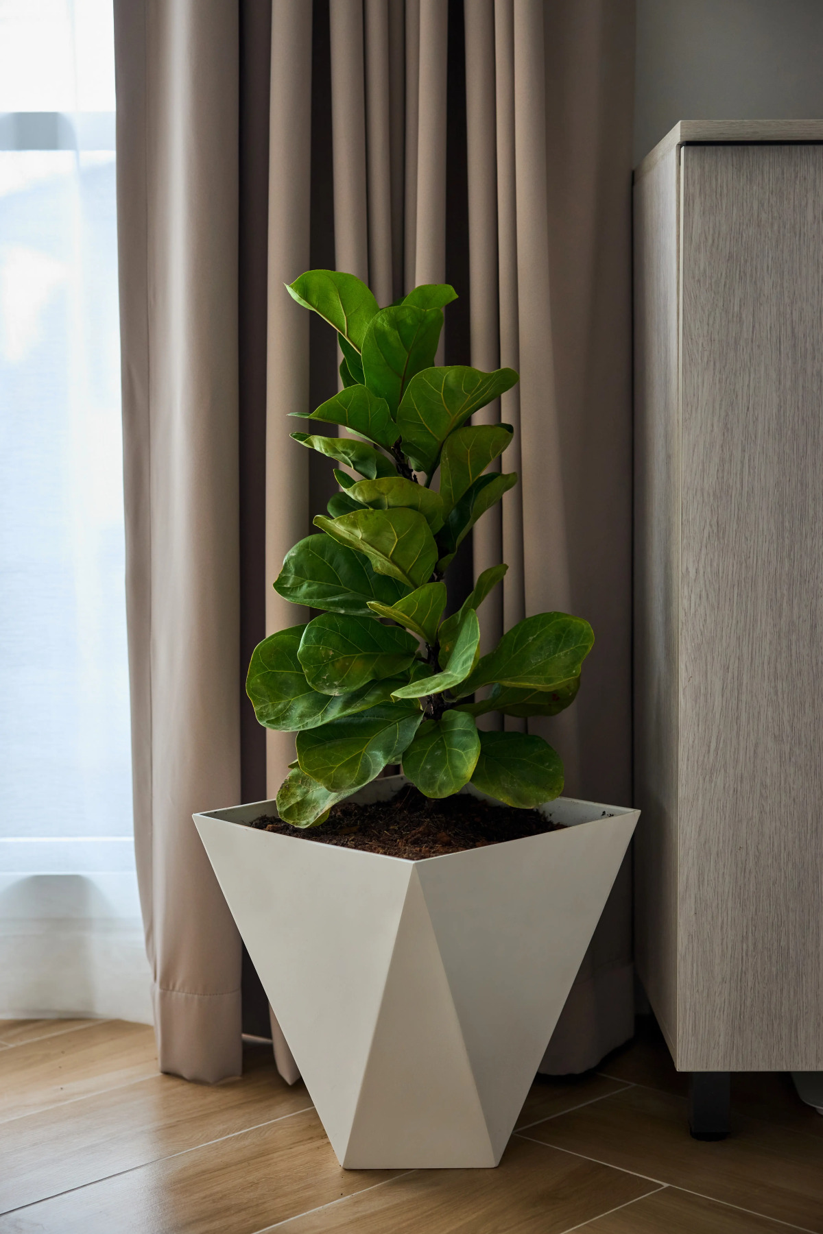 Вилла Phuket Paradise Retreat