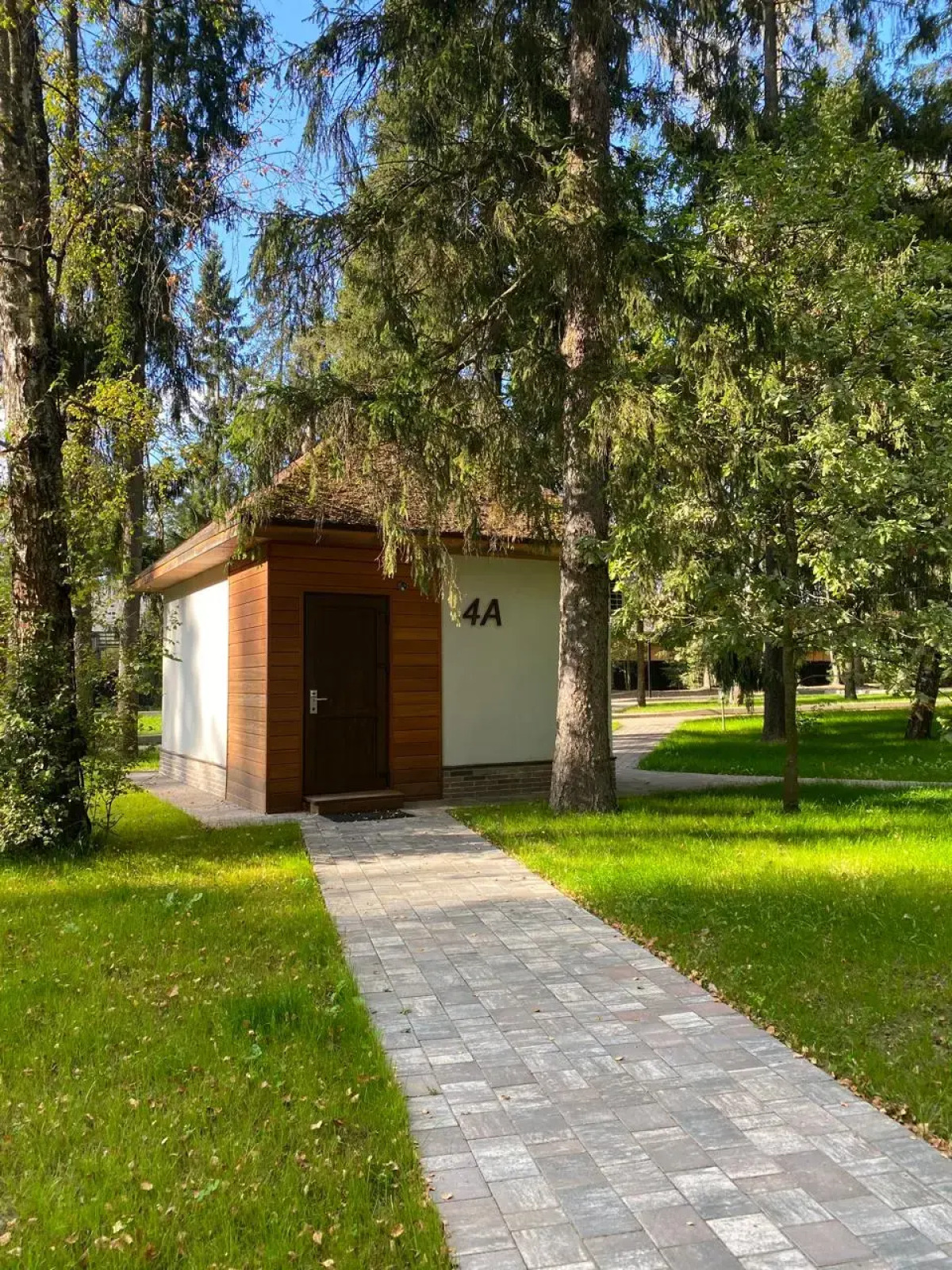 Отель Ruza Forest