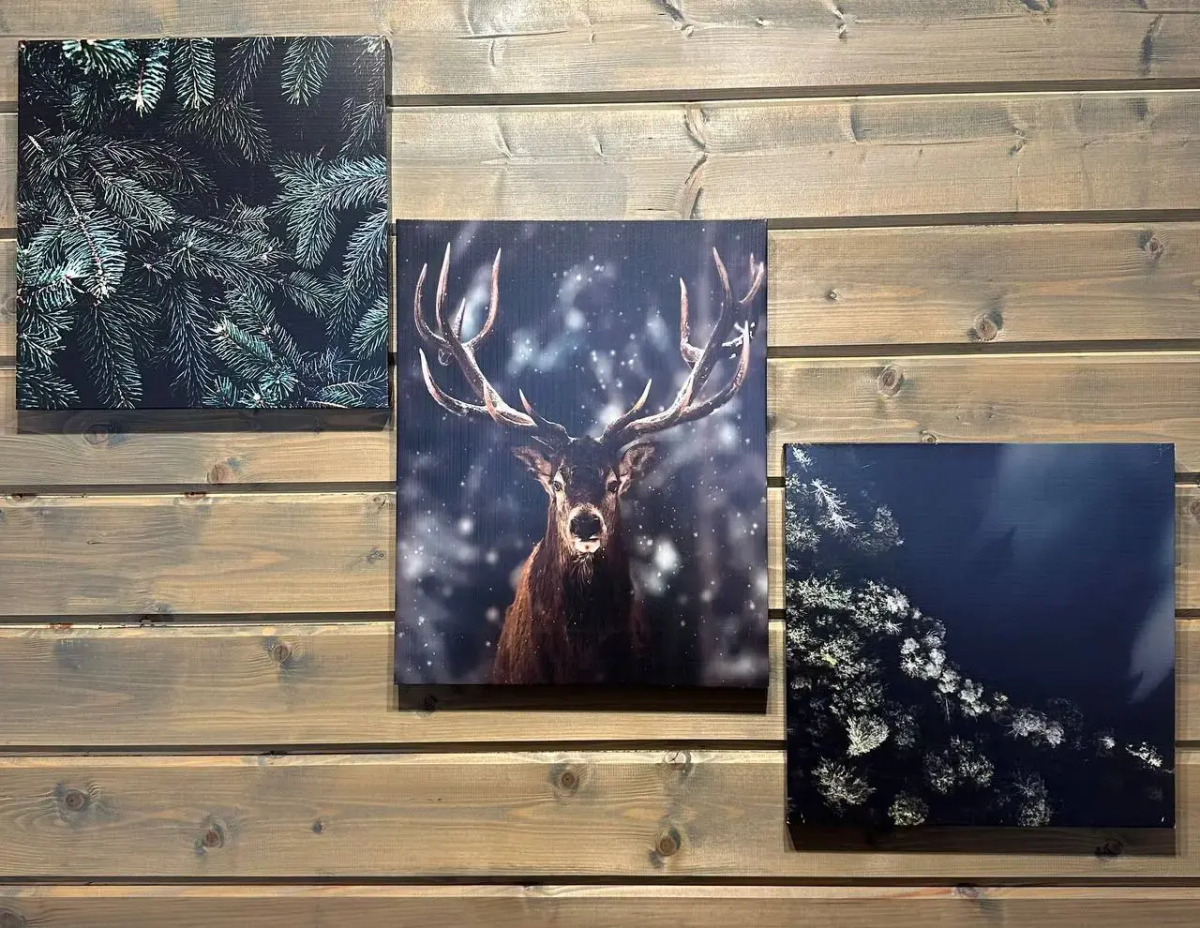 Частный дом Freedom