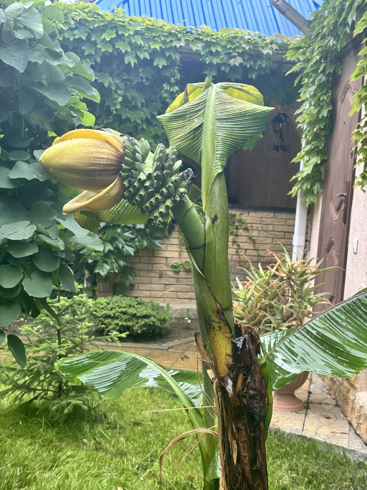 Гостевой дом Черноморье