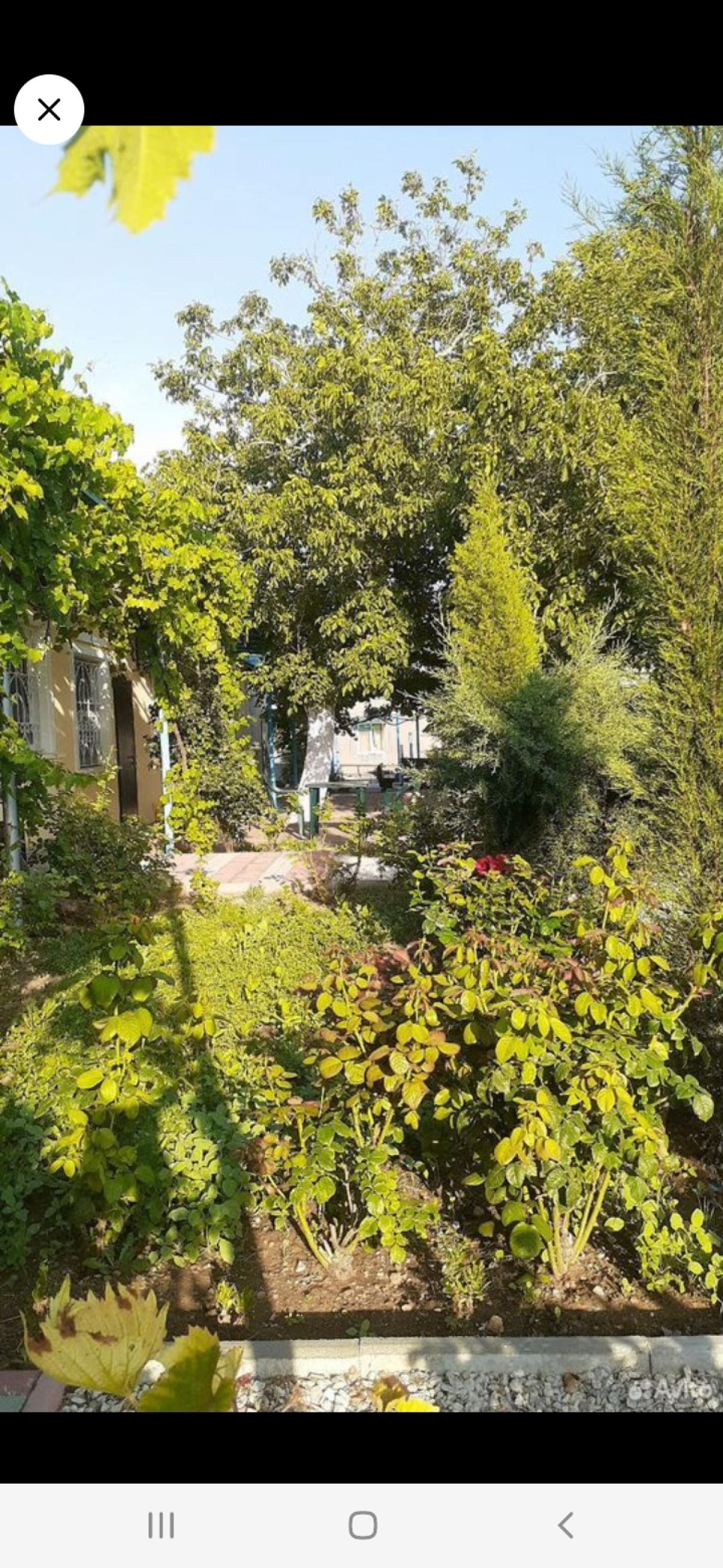 Гостевой дом Морская сказка