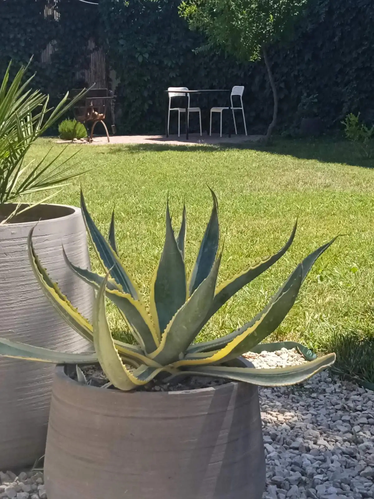 Гостевой дом Лайм