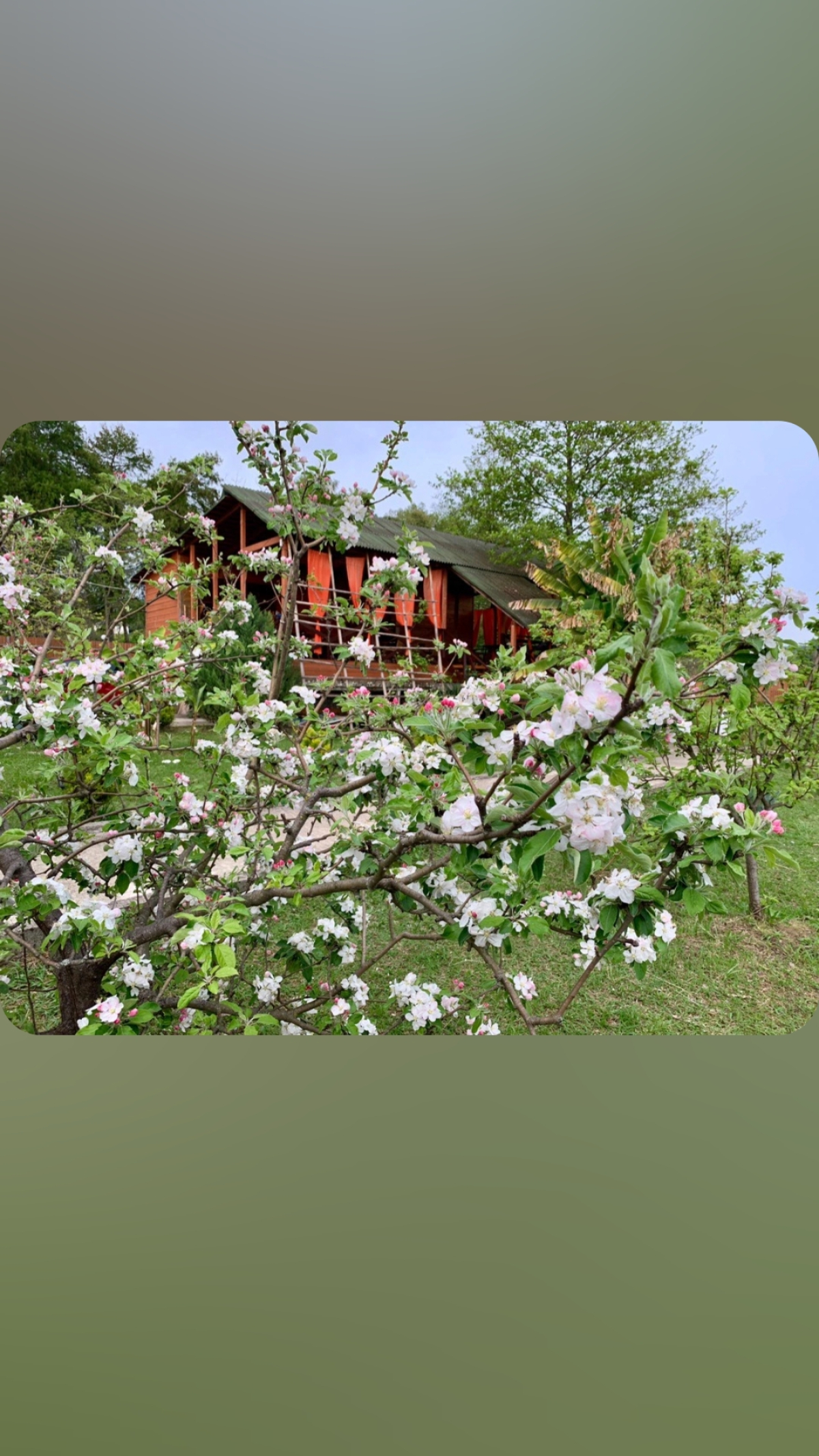 Гостевой дом МАНДАРИН