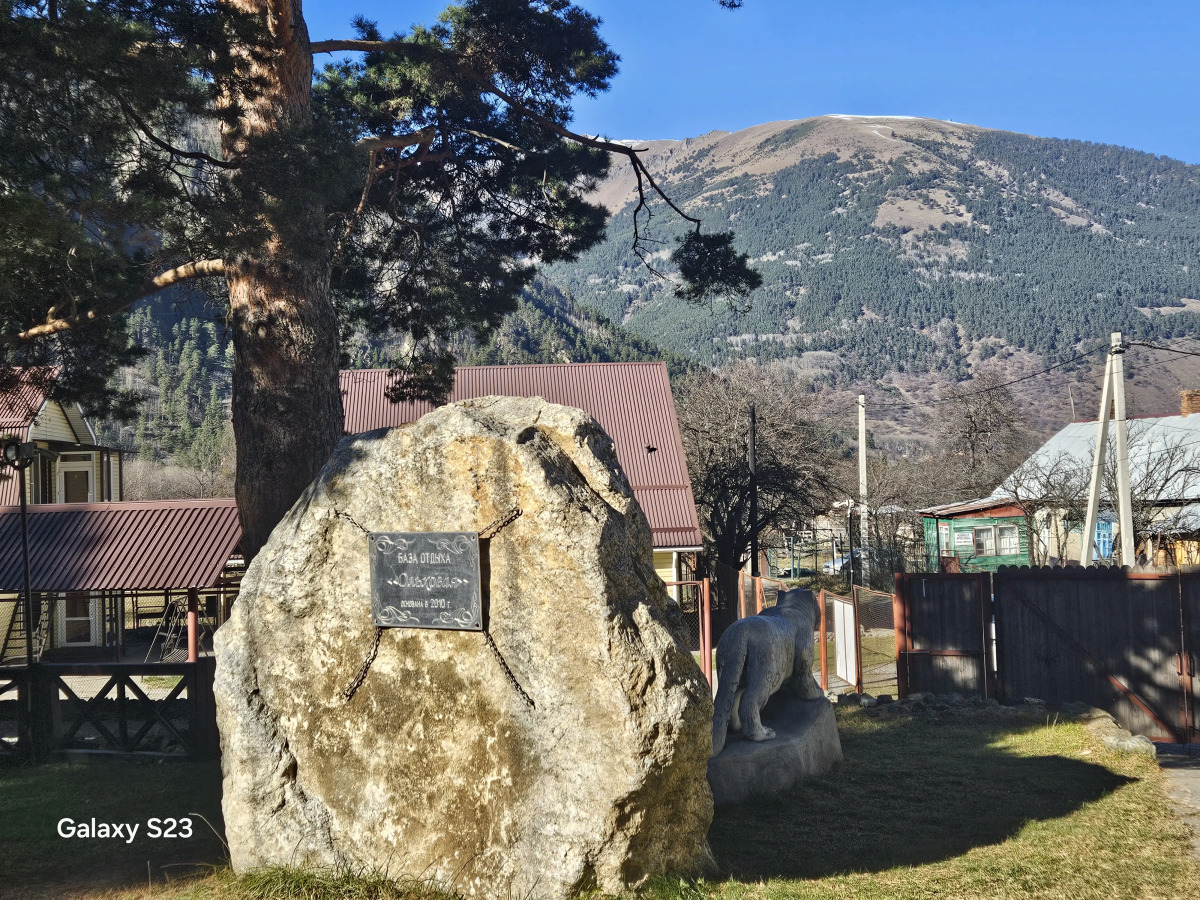 База отдыха ОЛЬХОВАЯ